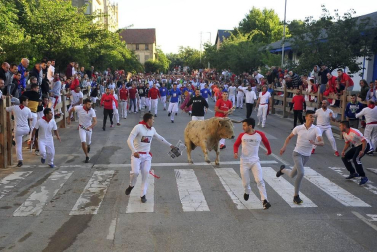 Todas las fotos de las fiestas de Tafalla 2019