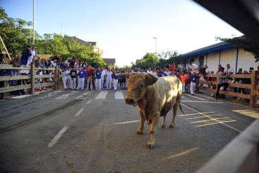 Todas las fotos de las fiestas de Tafalla 2019