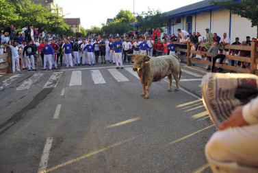 Todas las fotos de las fiestas de Tafalla 2019