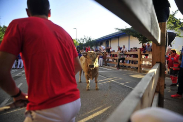 Todas las fotos de las fiestas de Tafalla 2019