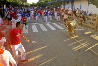Todas las fotos de las fiestas de Tafalla 2019