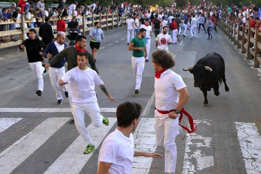 Todas las fotos del segundo encierro de fiestas de Tafalla 2019 en Diario de Navarra