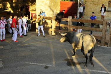 Todas las fotos del segundo encierro de fiestas de Tafalla 2019 en Diario de Navarra