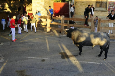 Todas las fotos del segundo encierro de fiestas de Tafalla 2019 en Diario de Navarra
