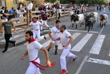 Todas las fotos del segundo encierro de fiestas de Tafalla 2019 en Diario de Navarra