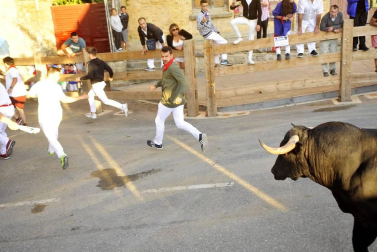 Todas las fotos del segundo encierro de fiestas de Tafalla 2019 en Diario de Navarra