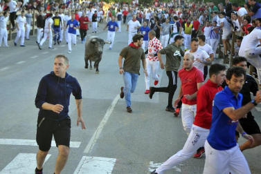 Todas las fotos del segundo encierro de fiestas de Tafalla 2019 en Diario de Navarra
