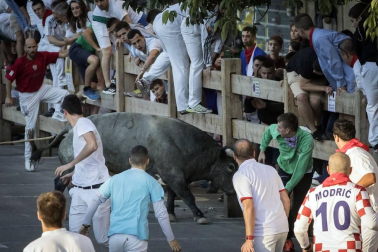 Todas las fotos del segundo encierro de fiestas de Tafalla 2019 en Diario de Navarra