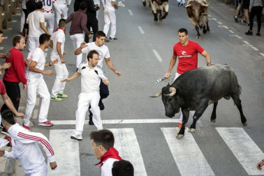 Todas las fotos del segundo encierro de fiestas de Tafalla 2019 en Diario de Navarra