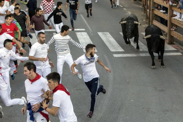 Todas las fotos del segundo encierro de fiestas de Tafalla 2019 en Diario de Navarra