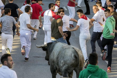 Todas las fotos del segundo encierro de fiestas de Tafalla 2019 en Diario de Navarra