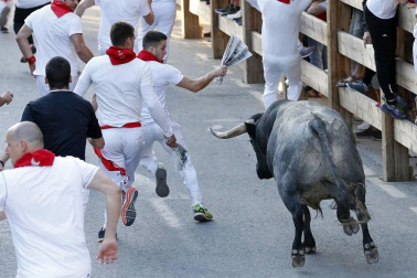 Todas las fotos del segundo encierro de fiestas de Tafalla 2019 en Diario de Navarra