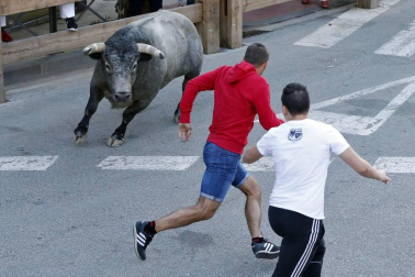 Todas las fotos del segundo encierro de fiestas de Tafalla 2019 en Diario de Navarra
