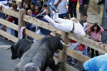 Todas las fotos del segundo encierro de fiestas de Tafalla 2019 en Diario de Navarra
