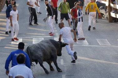 Todas las fotos del segundo encierro de fiestas de Tafalla 2019 en Diario de Navarra