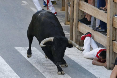 Todas las fotos de fiestas de Tafalla. 19 de agosto de 2019