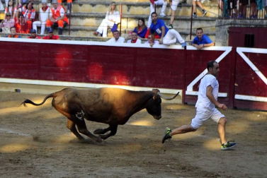 Todas las fotos de fiestas de Tafalla. 19 de agosto de 2019