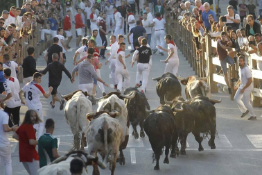 Todas las fotos de fiestas de Tafalla. 19 de agosto de 2019