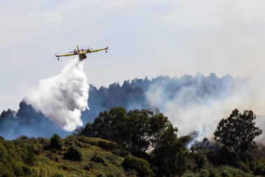 El incendio de Gran Canaria se descontrola y amenaza el parque natural de Tamadaba