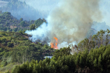 El incendio de Gran Canaria se descontrola y amenaza el parque natural de Tamadaba