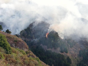El incendio de Gran Canaria se descontrola y amenaza el parque natural de Tamadaba