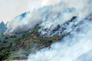 El incendio de Gran Canaria se descontrola y amenaza el parque natural de Tamadaba