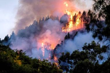 El incendio de Gran Canaria se descontrola y amenaza el parque natural de Tamadaba