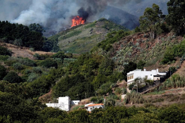 El incendio de Gran Canaria se descontrola y amenaza el parque natural de Tamadaba