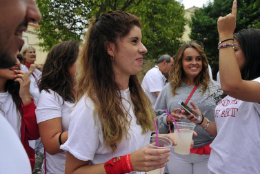 Todas las fotos del cohete de Fiestas de Mélida 2019 en el Diario de Navarra