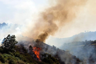 El incendio de Gran Canaria se descontrola y amenaza el parque natural de Tamadaba