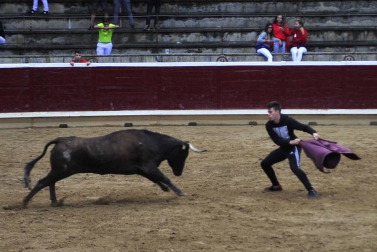 Todas las fotos del 20 de agosto de las Fiestas de Tafalla 2019 en el Diario de Navarra