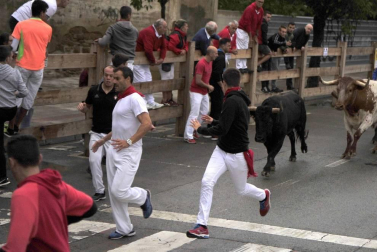 Todas las fotos del 20 de agosto de las Fiestas de Tafalla 2019 en el Diario de Navarra