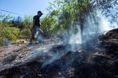 Zona afectada por el fuego de Gran Canaria