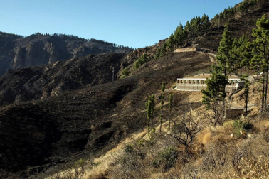 Zona afectada por el fuego de Gran Canaria
