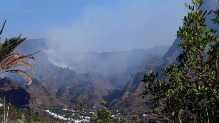 Zona afectada por el fuego de Gran Canaria