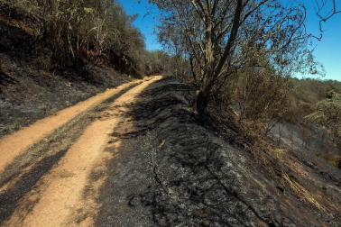 Zona afectada por el fuego de Gran Canaria