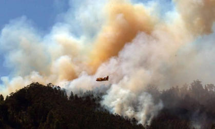 Zona afectada por el fuego de Gran Canaria