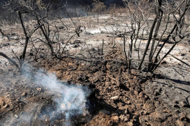 Zona afectada por el fuego de Gran Canaria