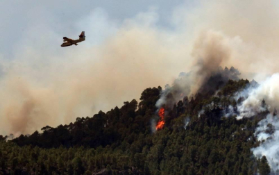 Zona afectada por el fuego de Gran Canaria