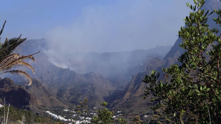 Zona afectada por el fuego de Gran Canaria