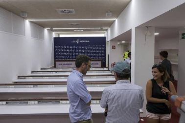 Galería de fotos del estado de las obras en el estadio pamplonés.