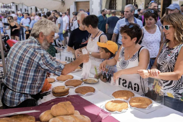 Todas las fotos del Artzai Eguna de Uharte Arakil 2019