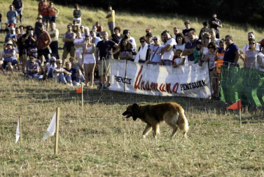 Todas las fotos del concurso de perros pastor del Artzai Eguna 2019