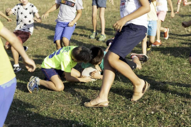 Todas las fotos del concurso de perros pastor del Artzai Eguna 2019