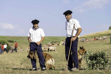 Todas las fotos del concurso de perros pastor del Artzai Eguna 2019