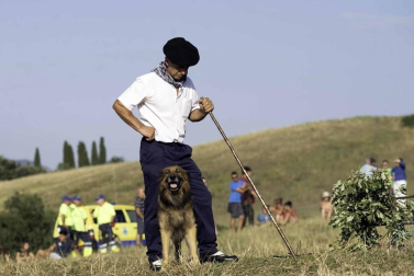 Todas las fotos del concurso de perros pastor del Artzai Eguna 2019