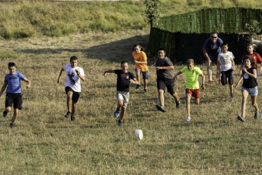Todas las fotos del concurso de perros pastor del Artzai Eguna 2019