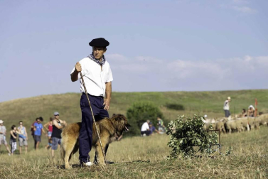 Todas las fotos del concurso de perros pastor del Artzai Eguna 2019