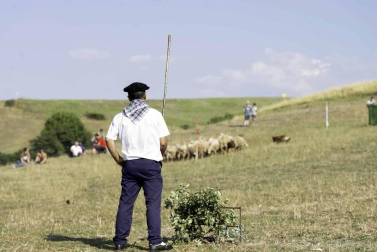 Todas las fotos del concurso de perros pastor del Artzai Eguna 2019