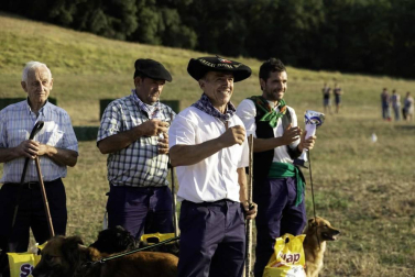 Todas las fotos del concurso de perros pastor del Artzai Eguna 2019